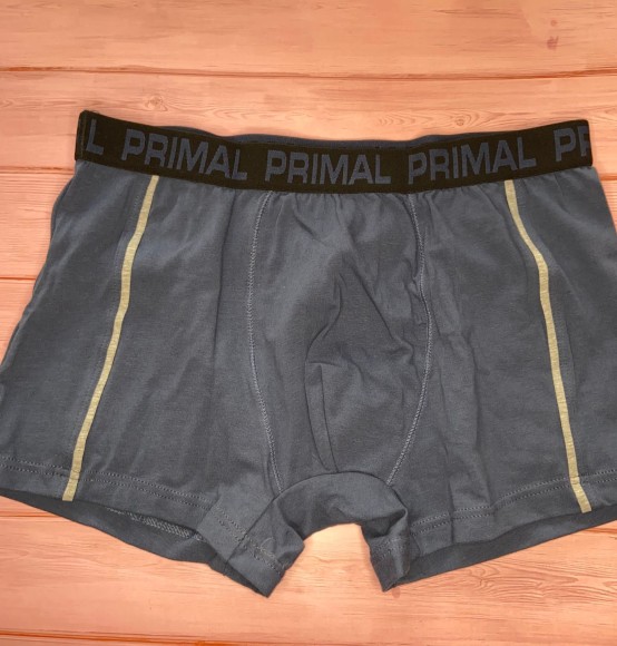 Трусы мужские Primal B280 1 шт